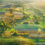 Оренда земельної ділянки: причини звернутися до фахівців для оформлення договору