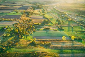 Оренда земельної ділянки: причини звернутися до фахівців для оформлення договору