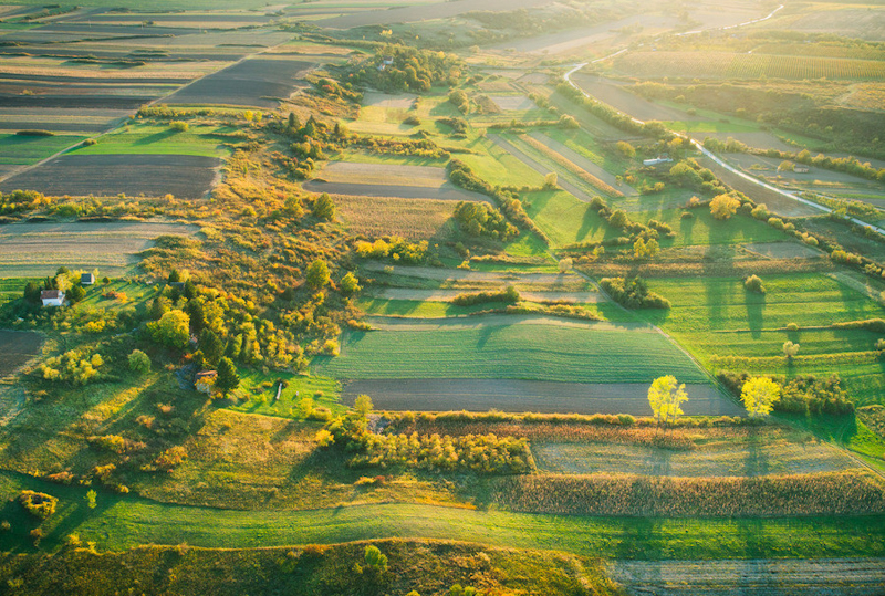 Оренда земельної ділянки: причини звернутися до фахівців для оформлення договору